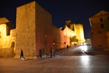The East Wall of the Alcázar de los Reyes Cristianos